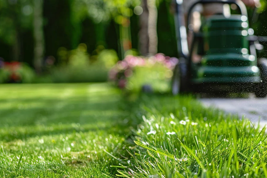 where can i buy lawn mower